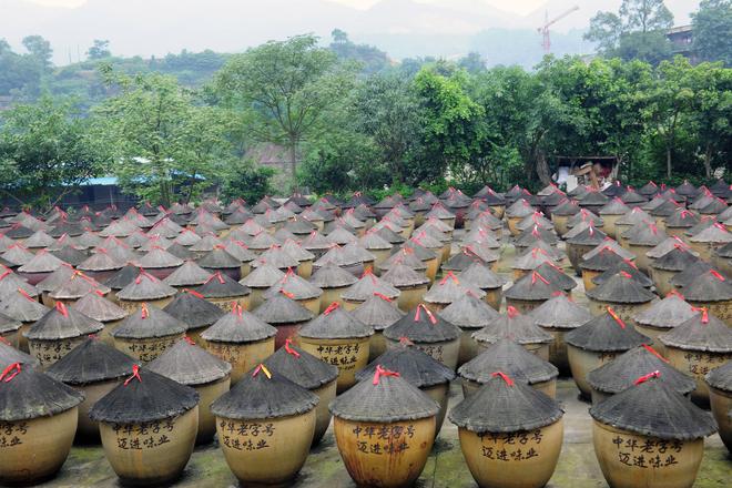 百年匠心酿岁月 薪火相传谱新篇pg电子试玩网站免费江津酿造：(图5)