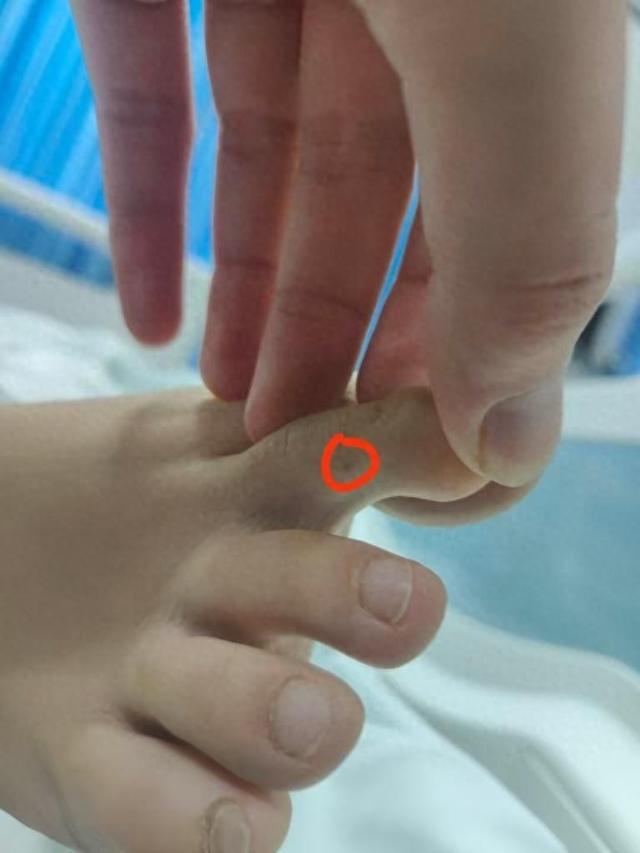 回应质疑：没提任何索赔只希望调查清楚pg电子平台三亚身亡女游客堂姐直播